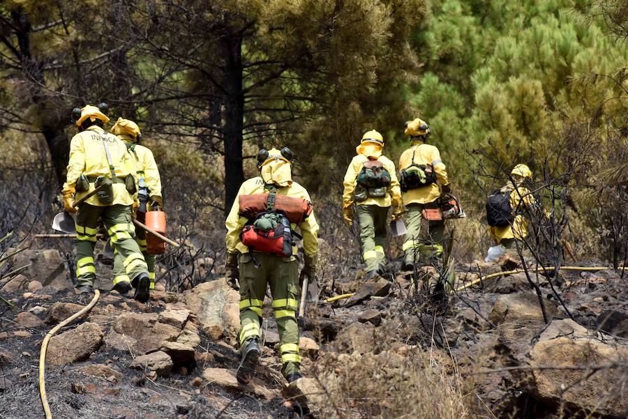 El fuego se inició en la carretera A-397 que une San Pedro con Ronda