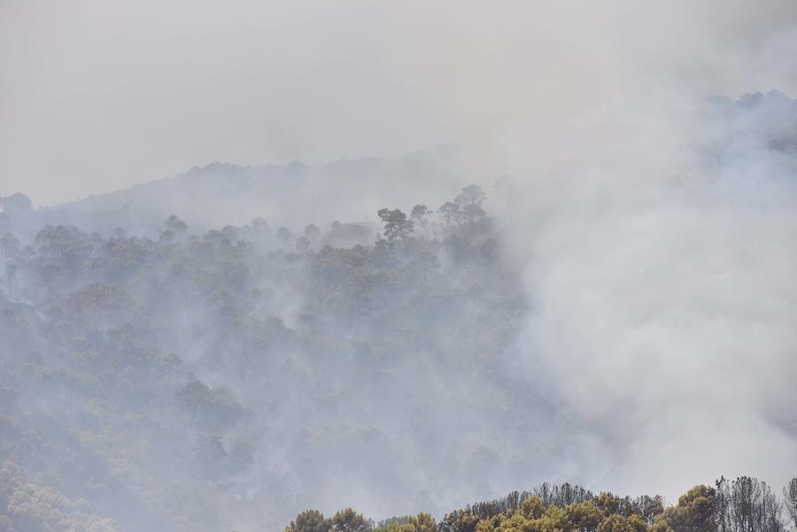 El fuego se inició en la carretera A-397 que une San Pedro con Ronda