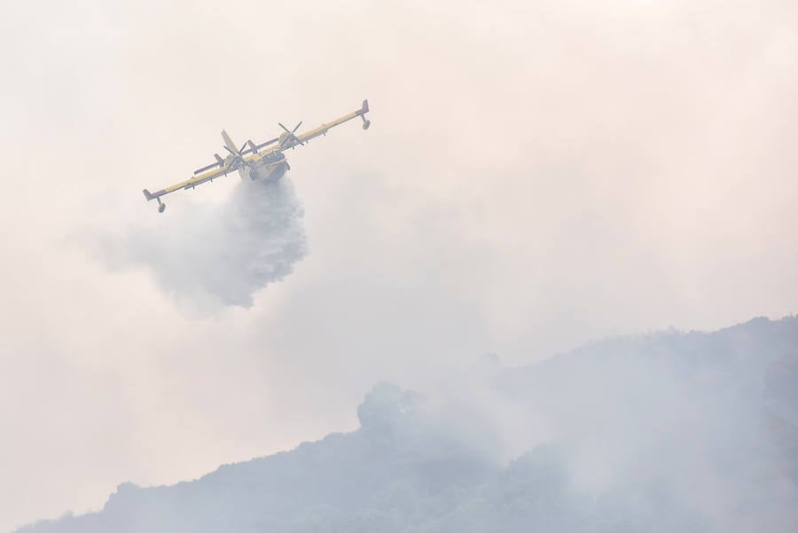 El fuego se inició en la carretera A-397 que une San Pedro con Ronda