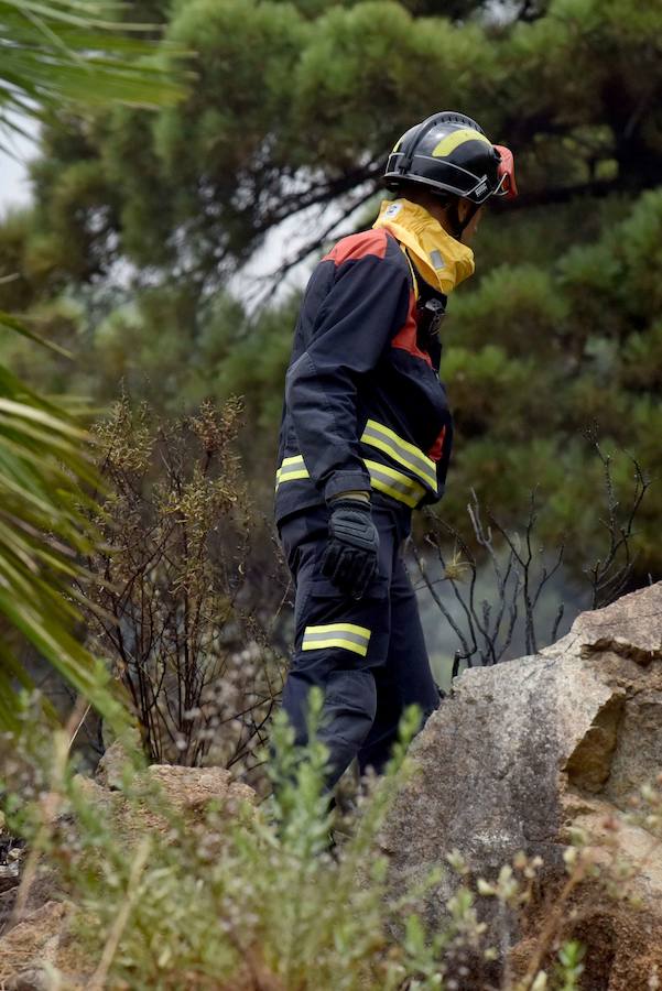 El fuego se inició en la carretera A-397 que une San Pedro con Ronda