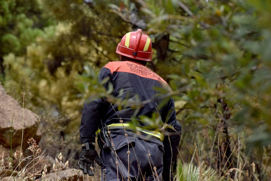 El fuego se inició en la carretera A-397 que une San Pedro con Ronda