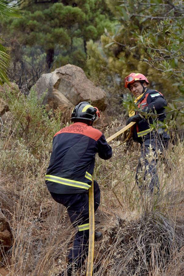 El fuego se inició en la carretera A-397 que une San Pedro con Ronda