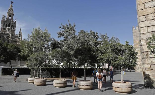 En Sevilla se ha reforzado la entrada al Alcázar en el casco antiguo con unos maceteros con árboles. 