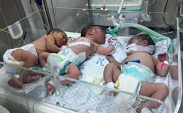 Recién nacidos en la Franja de Gaza.