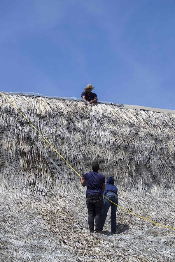 Los residentes se preparan con provisiones de comida, agua y combustible para hacer frente a vientos que llegan a los 177 km/h según informa el Centro Nacional de Huracanes. El huracán llegó a las Islas Vírgenes Británicas durante la madrugada del miércoles con menores destrozos de los esperados aunque continuará avanzando pasando por las Bahamas hasta Florida. 