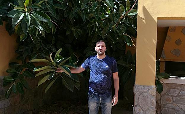 Ernesto, junto al Ficus que penetra en la casa familiar. 