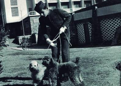 Imagen secundaria 1 - Brigitte Bardot, los caniches de Perón y la portada de la revista