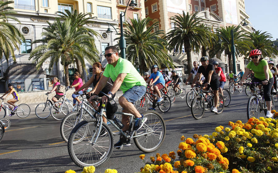 Más de 15.000 ciclistas han tomado esta mañana las calles de la ciudad en una actividad enmarcada en la Semana de la Movilida