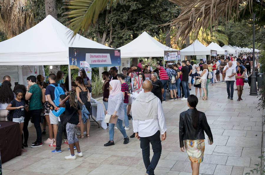 Así ha transcurrido la jornada