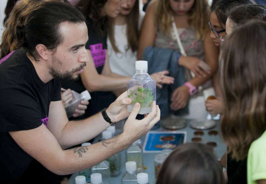 Así ha transcurrido la jornada