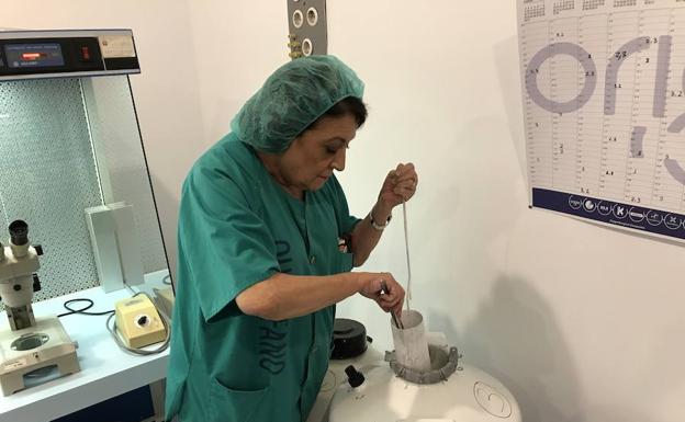 La especialista en análisis clínicos Ana Gutiérrez, en el laboratorio de reproducción humana del Materno. 