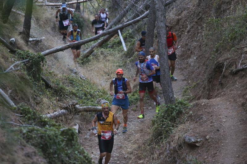 Más de 600 personas toman parte en la prueba, celebrada en Los Montes