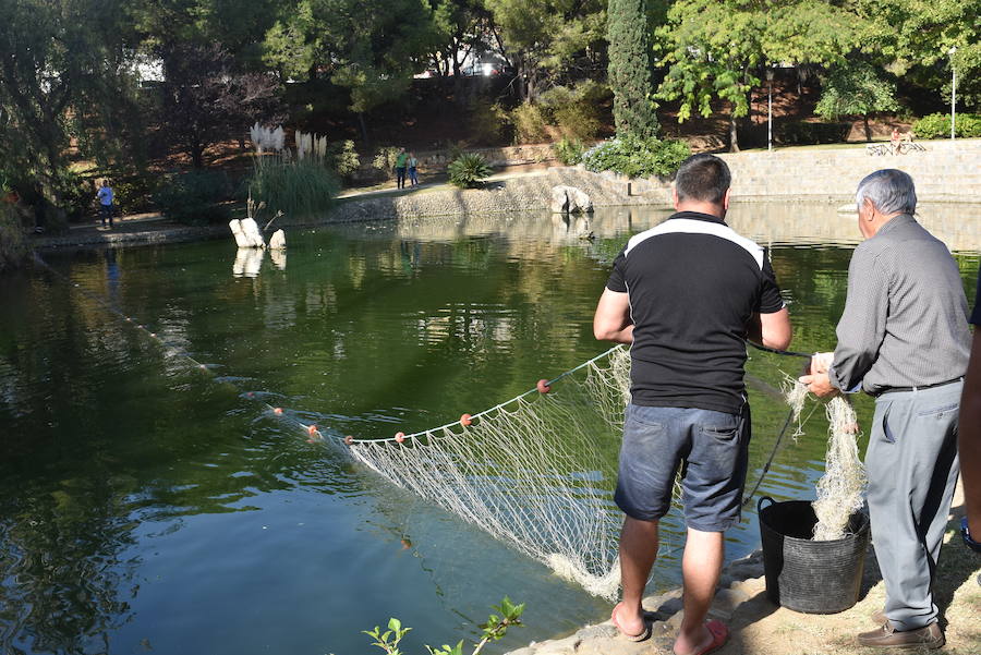 El ejemplar ha sido transportado al Bioparc de Fuengirola