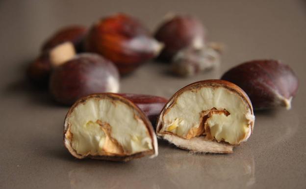 ¡Toma castaña!: cinco motivos para comer este fruto seco
