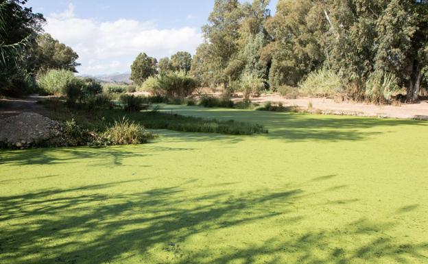 Afluente del Guadalhorce en el que se vierten aguas sin depurar.