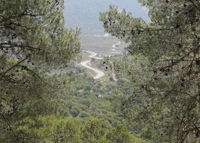 Imagen secundaria 1 - La ruta discurre en su mayor parte entre un denso de pinar. | En el último tramo de recorrido se atisban algunas vistas panorámicas. | El primer tramo coincide con el sendero SL-A-60