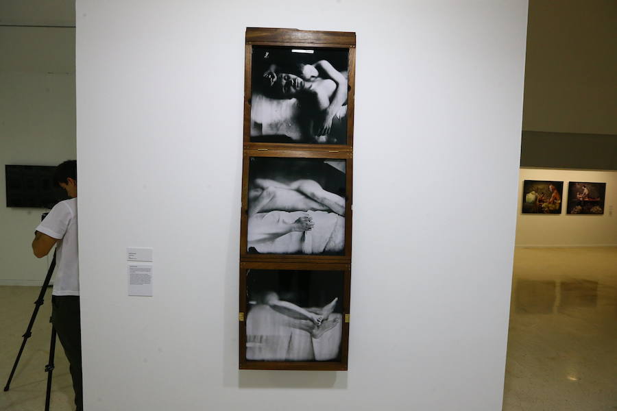 Las piezas de la muestra