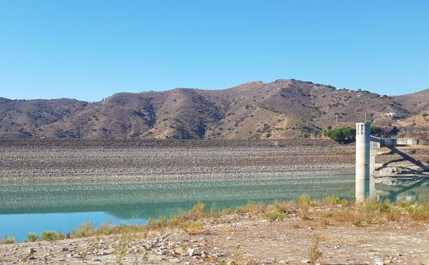 La falta de lluvias está provocando problemas que en el caso del olivar se estima en un 15,8%. 