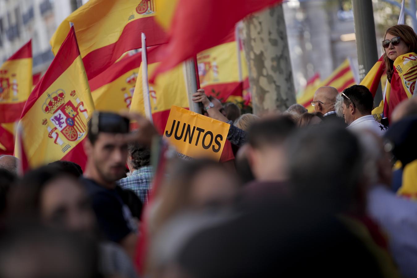 La marcha convocada por Societat Civil Catalana bajo el lema 'Tots som Catalunya. Per la convivència, seny!