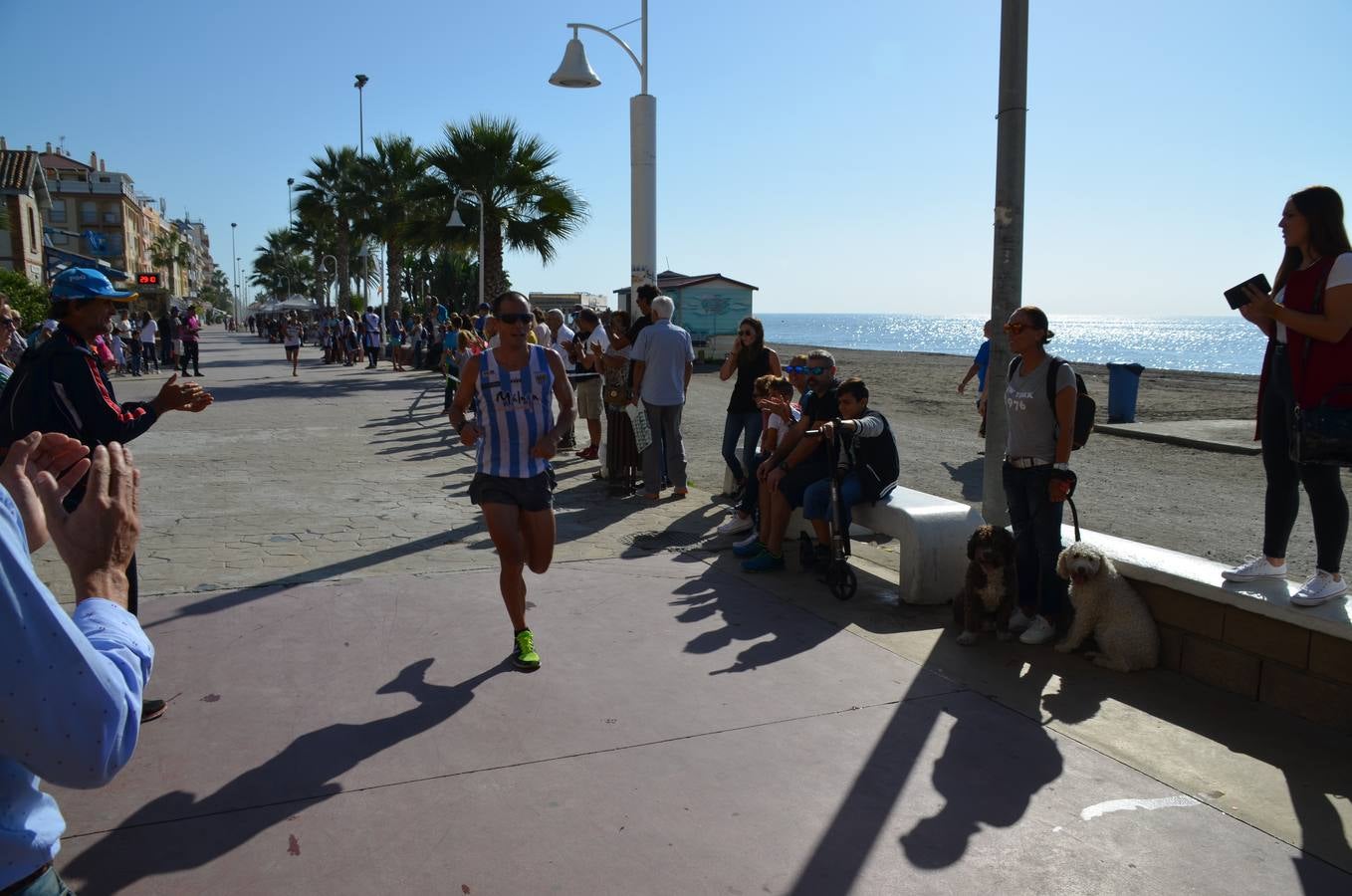 La octava edición de la Media Maratón de Rincón de la Victoria, en fotos