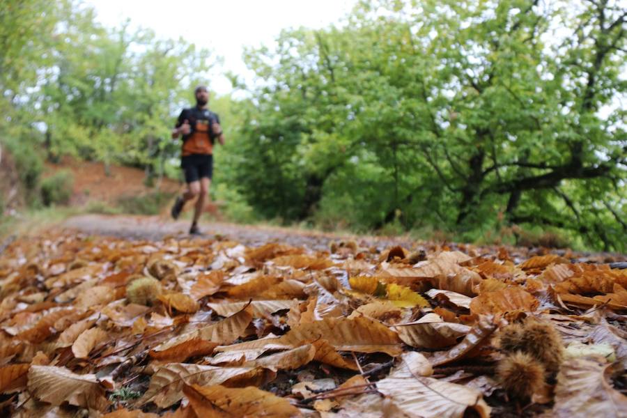 Casi 700 deportistas se dan cita en esta prueba deportiva con salida y meta en Algatocín