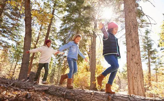 Unos niños juegan en un bosque, entorno que favorece una buena formación física y mental