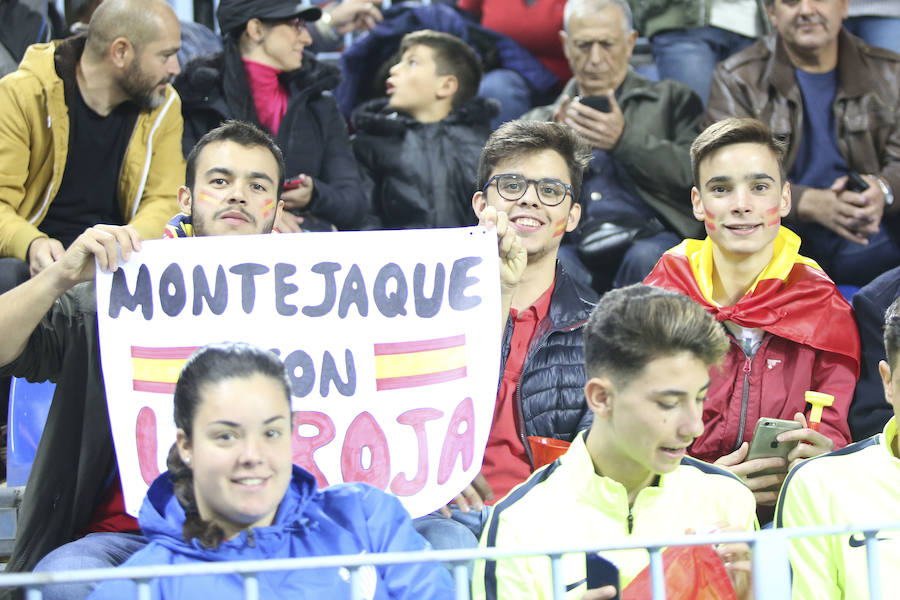 La Rosaleda colgó el cartel de "completo" en el partido amistoso que enfrentó a España ante Costa Rica en Málaga.