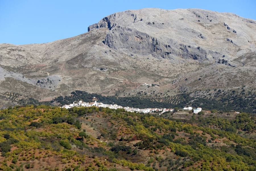 Los castaños, antes de perder sus hojas, tiñen de ocres, dorados, marrones y amarillos el Valle