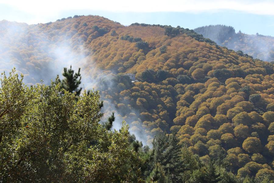 Los castaños, antes de perder sus hojas, tiñen de ocres, dorados, marrones y amarillos el Valle