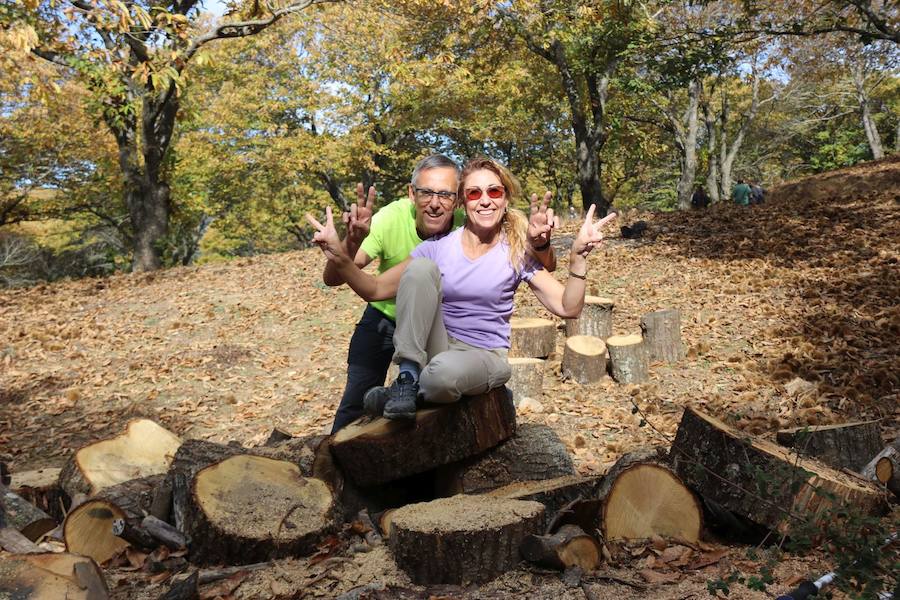 Los castaños, antes de perder sus hojas, tiñen de ocres, dorados, marrones y amarillos el Valle