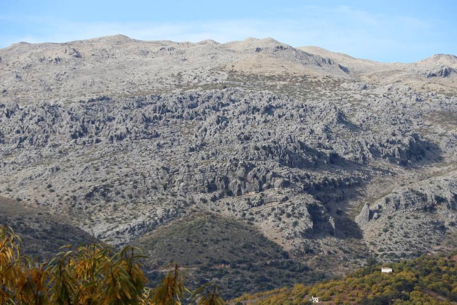 Los castaños, antes de perder sus hojas, tiñen de ocres, dorados, marrones y amarillos el Valle