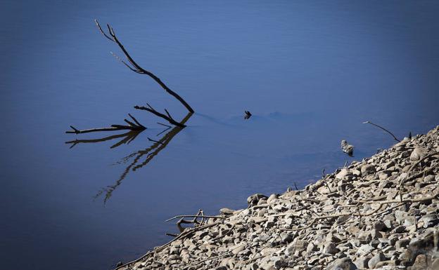 Un rincón de Menasalbas con agua. 