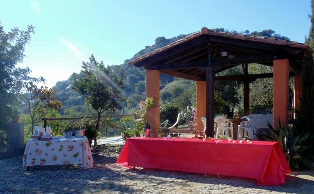 En territorio cartameño se encuentran las bodegas Sánchez Rosado.