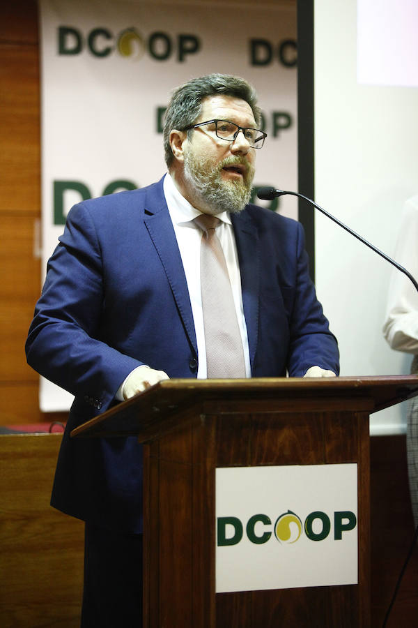 lEl grupo, que congrega a 111 cooperativas aceiteras, es el primer productor oleícola del mundo