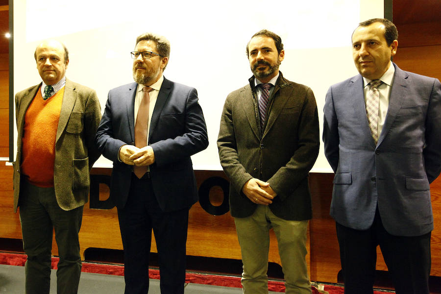 lEl grupo, que congrega a 111 cooperativas aceiteras, es el primer productor oleícola del mundo