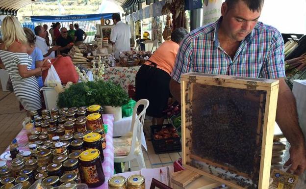 La Feria de Sabor a Málaga se celebra el próximo puente en el Parque.