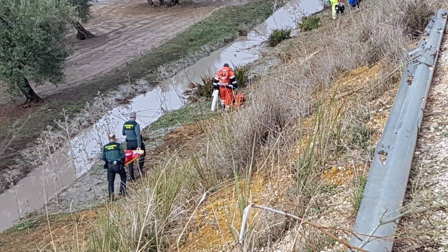 El suceso, por las fuertes lluvias, se ha producido cerca de un tramo cortado por las lluvias entre Arahal y El Sorbito, a la altura del kilómetro 19 de la vía