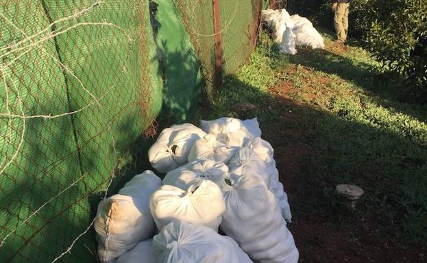 Un agricultor frustró un robo al sorprender a los ladrones.