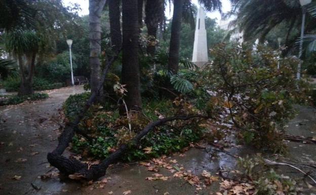 En fotos, los efectos de la borrasca Ana en la provincia de Málaga