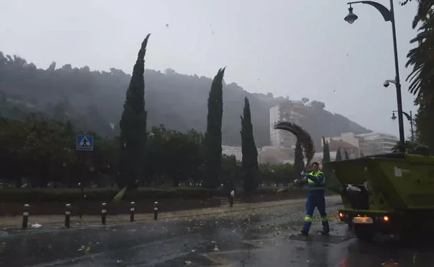 Vídeo de la virulencia del viento en Málaga este lunes