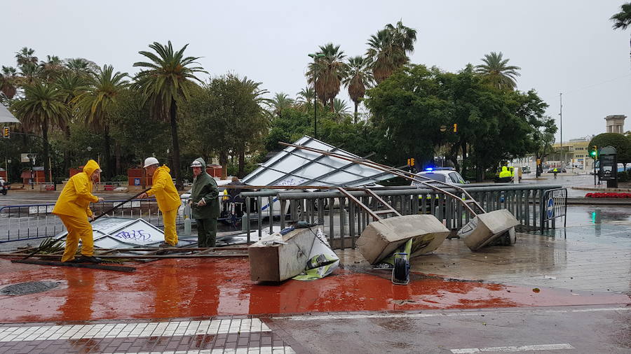 La caída de dos árboles ha obligado a cerrar el tráfico del paseo de los Curas y un lateral de la Alameda Principal