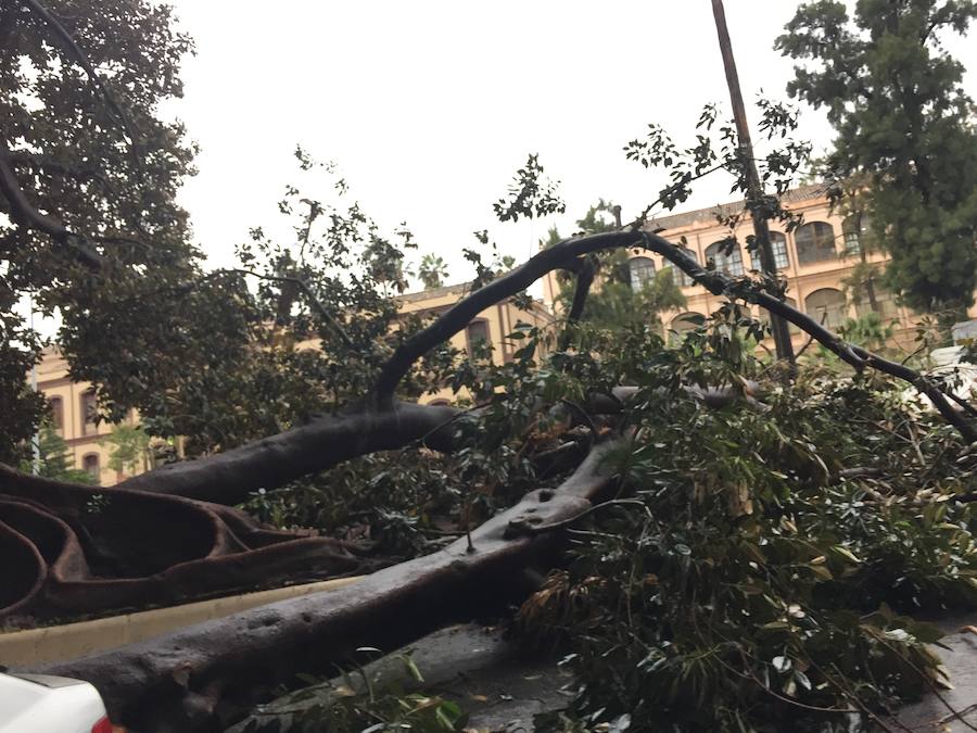 Lunes complicado en la provincia, que sigue en aviso naranja por fuertes rachas de viento