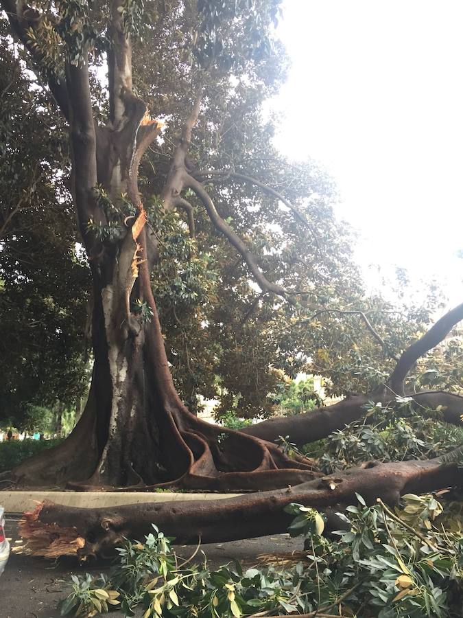 Lunes complicado en la provincia, que sigue en aviso naranja por fuertes rachas de viento