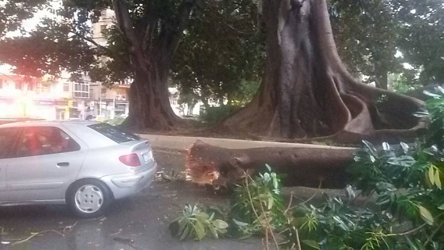 Lunes complicado en la provincia, que sigue en aviso naranja por fuertes rachas de viento