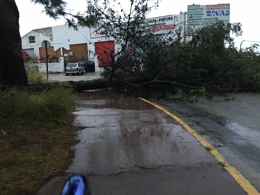 Destrozos en Ronda