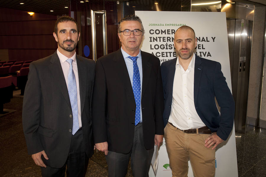 Expertos destacan que la producción de aceite de oliva se multiplica y el Puerto de Málaga será clave para su exportación