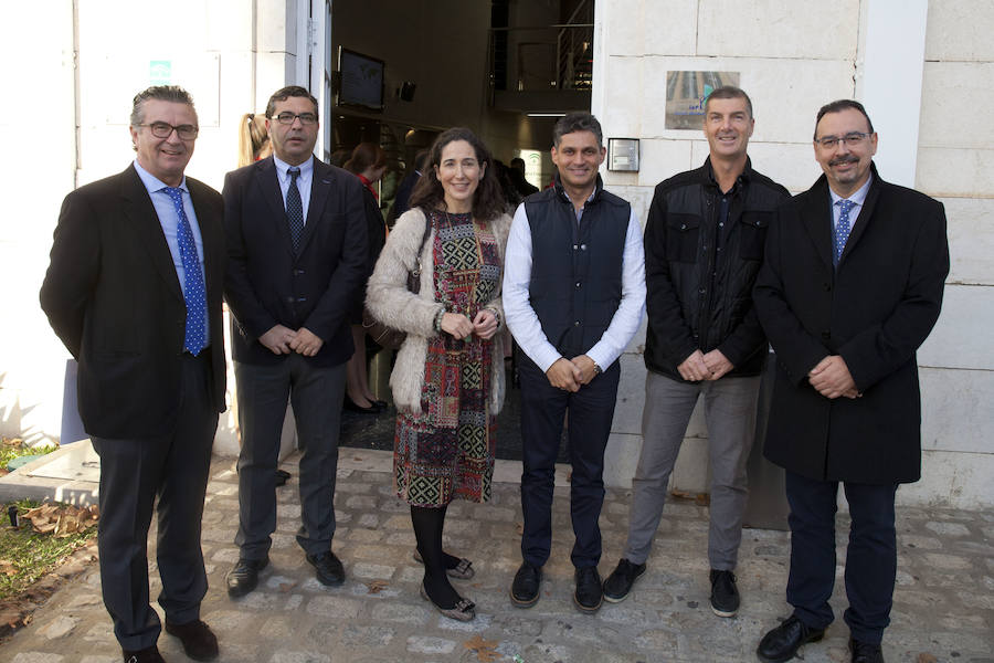 Expertos destacan que la producción de aceite de oliva se multiplica y el Puerto de Málaga será clave para su exportación