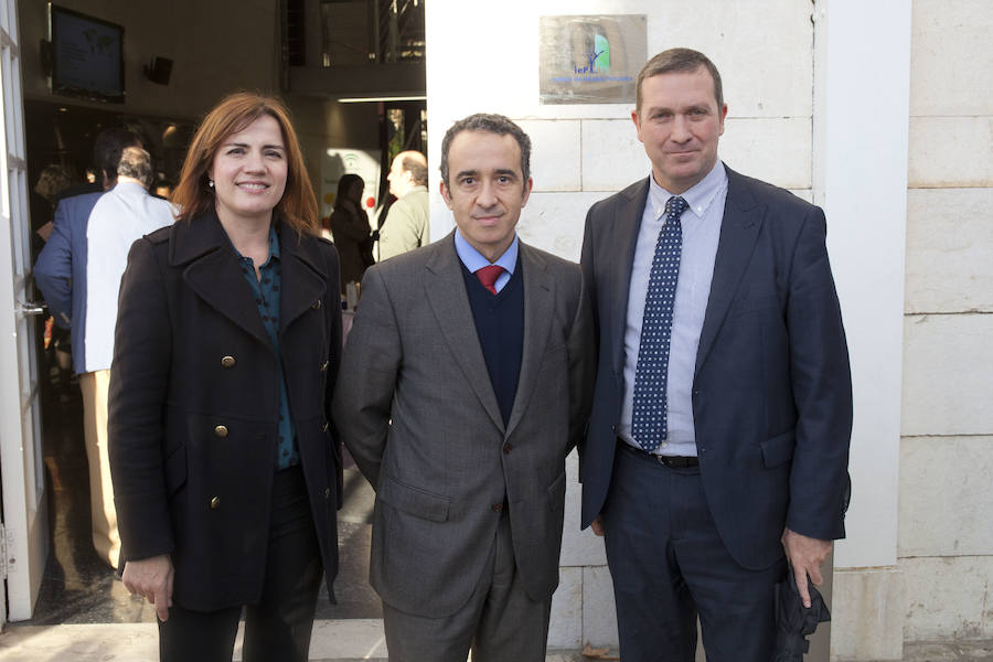 Expertos destacan que la producción de aceite de oliva se multiplica y el Puerto de Málaga será clave para su exportación