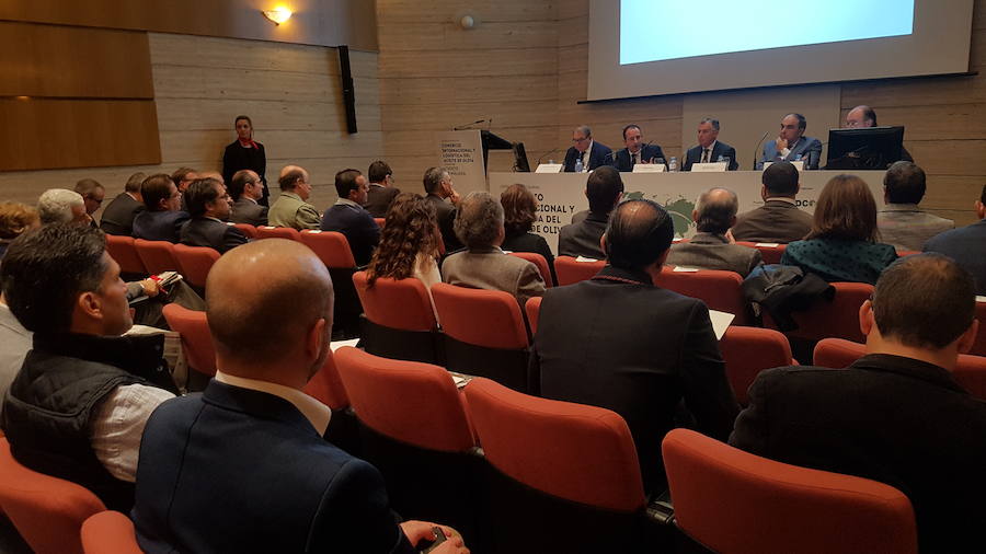 Expertos destacan que la producción de aceite de oliva se multiplica y el Puerto de Málaga será clave para su exportación