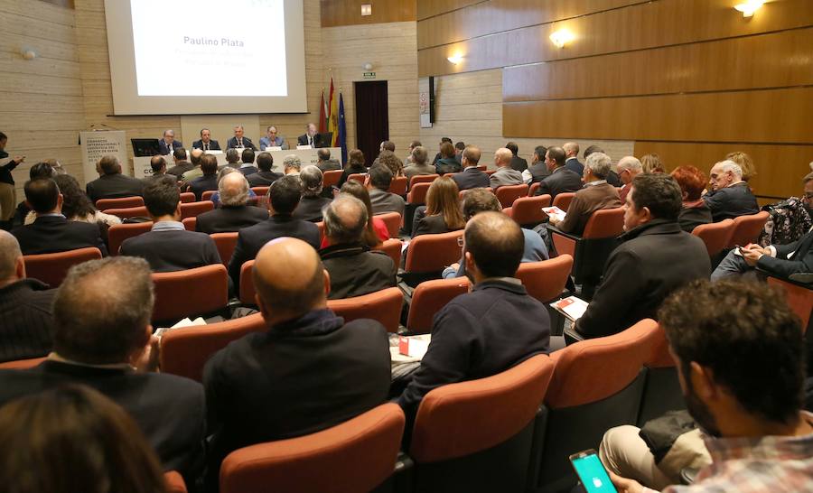 Expertos destacan que la producción de aceite de oliva se multiplica y el Puerto de Málaga será clave para su exportación